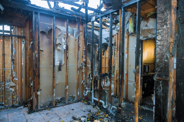 Professional Soot Cleanup technician working in Samoset, FL